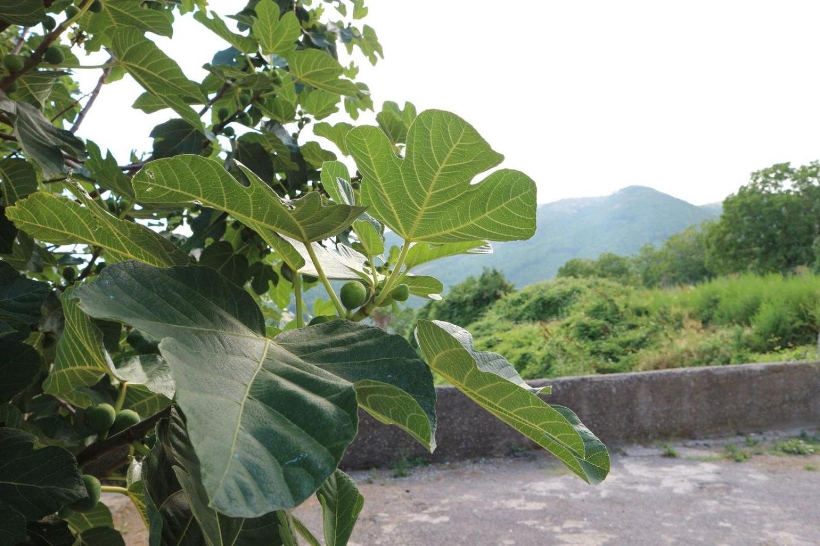 Il Balcone Delle Dee Villa Agerola Exterior foto