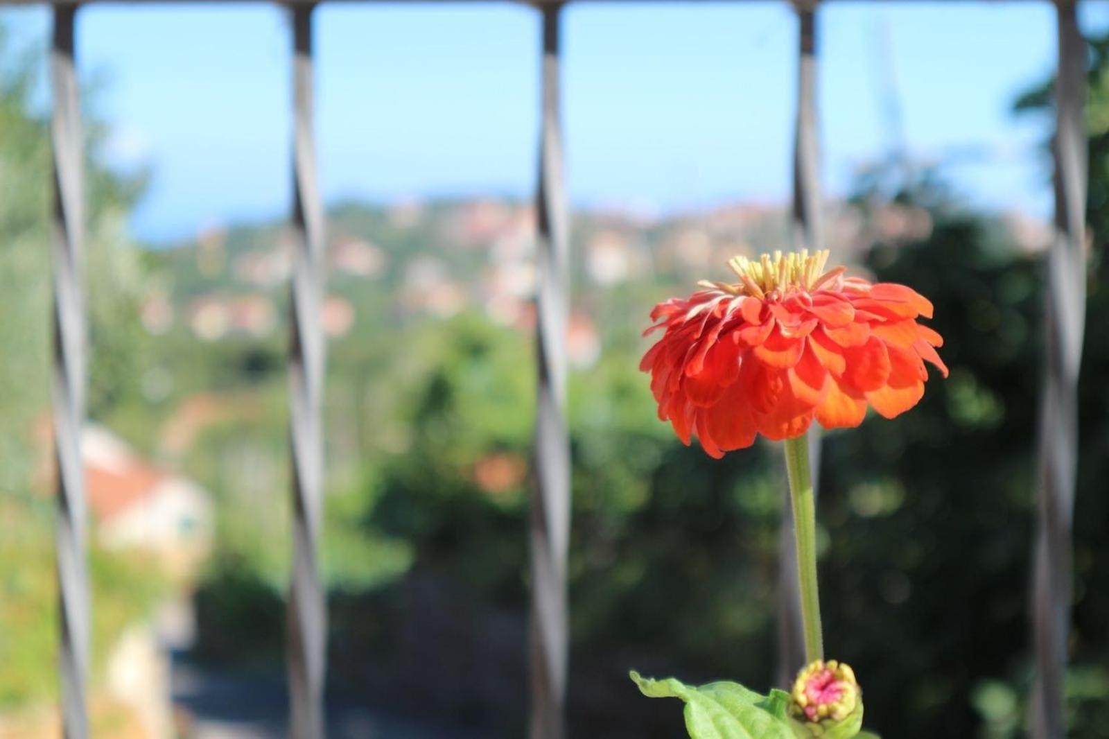 Il Balcone Delle Dee Villa Agerola Exterior foto